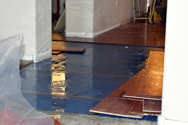 Professional Burst Pipe Cleanup technician working in Angola, NY